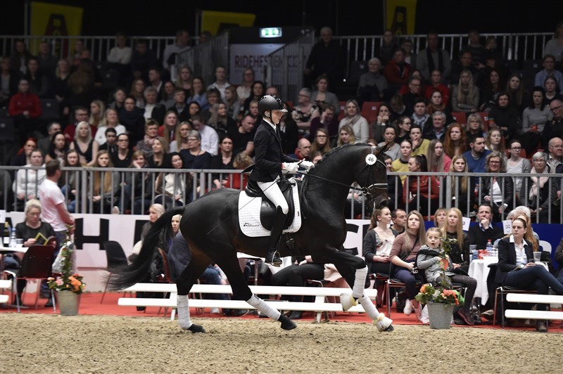 Hesselhøj Gnags under aktionen i Herning.